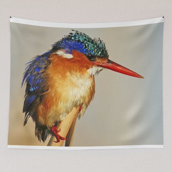 Item preview, Kingfisher Photo designed and sold by TheAnimalZ00.