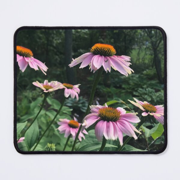 Item preview, coneflower  designed and sold by MKLaverick.