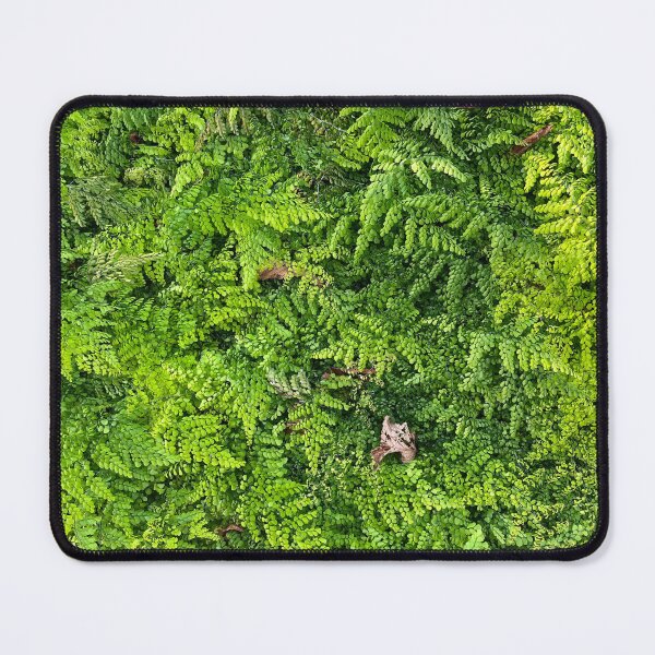 Item preview, maiden hair ferns designed and sold by MKLaverick.