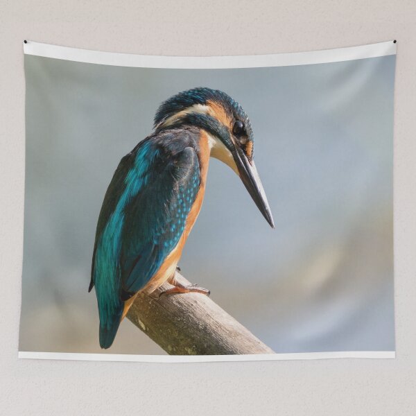 Item preview, Kingfisher Closeup Photo designed and sold by TheAnimalZ00.
