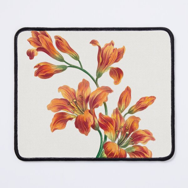 Item preview, Orange Lily 1786 designed and sold by Suzana Djordjevic.