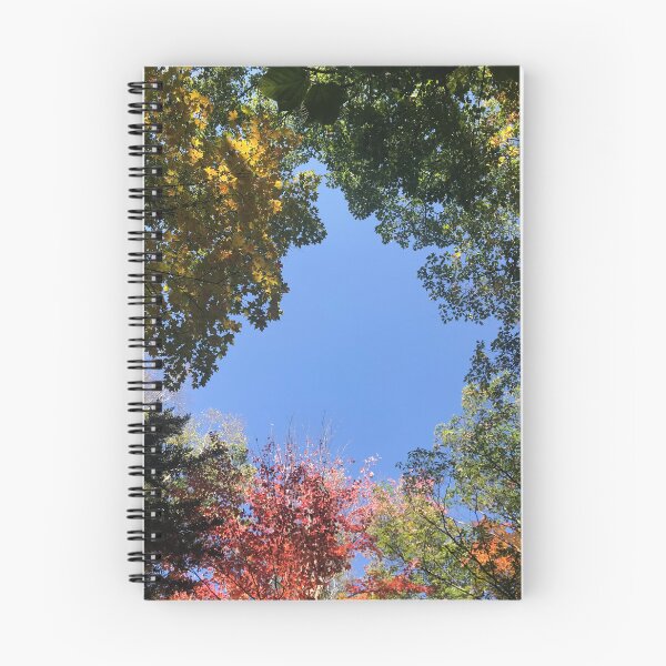 Item preview, autumn canopy  designed and sold by MKLaverick.