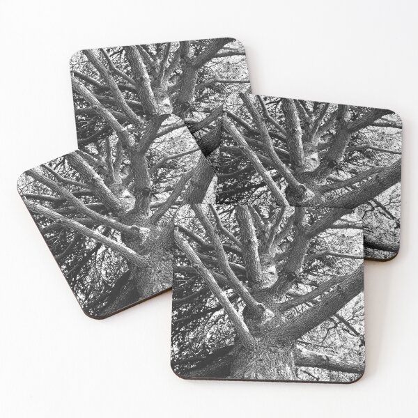 Item preview, Tree's power B&W designed and sold by pinkjeans.