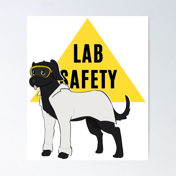 Item preview, Lab Safety designed and sold by rornelson.