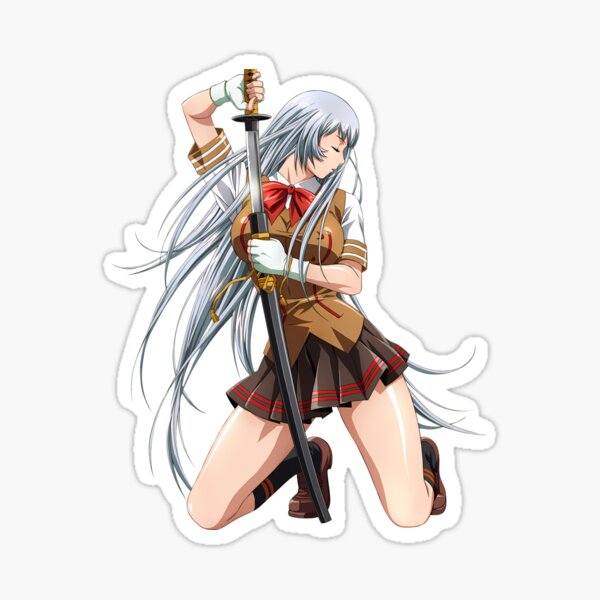 Shin Ikkitousen Unchou Kan-u Cosplay Costume