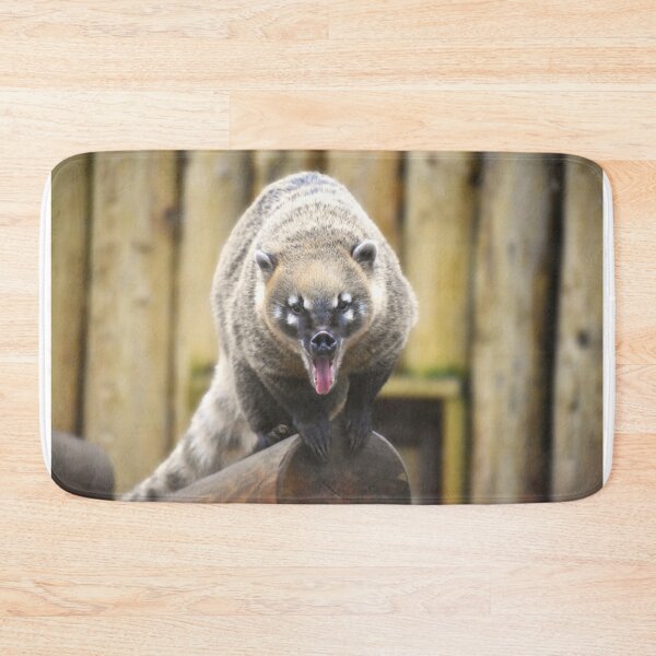 Item preview, Coati Yawning  designed and sold by megjayne-photos.
