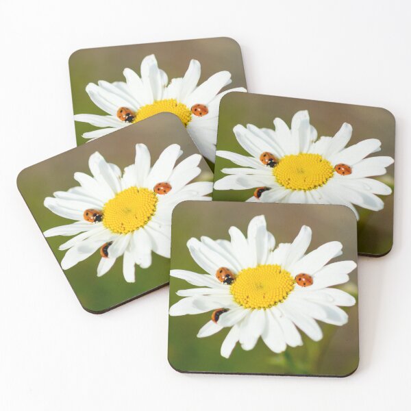 Item preview, Lucky beetle designed and sold by Katja LebenFreude.