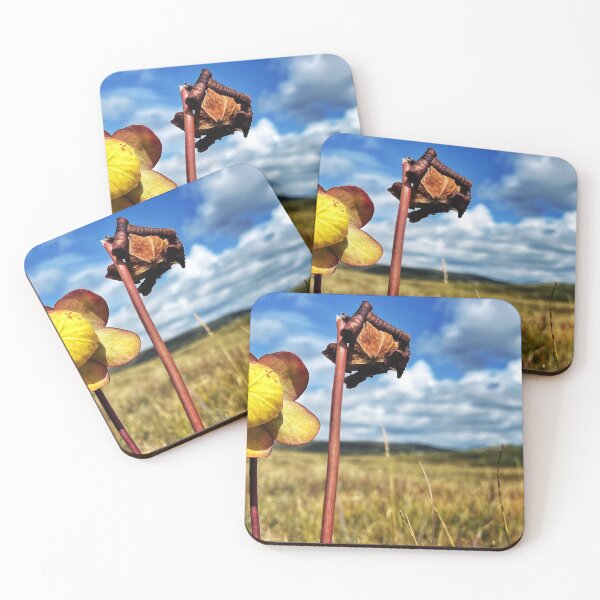 Item preview, Carnivore In Field designed and sold by Jason Tompkins.