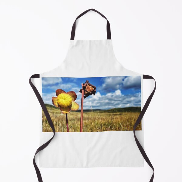Item preview, Carnivore In Field designed and sold by Jason Tompkins.