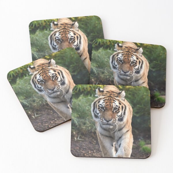 Item preview, Amur Tiger designed and sold by megjayne-photos.