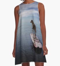 Owning the day A-Line Dress