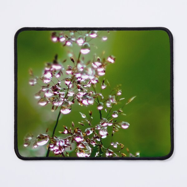 Item preview, Grasses with raindrops designed and sold by Katja LebenFreude.