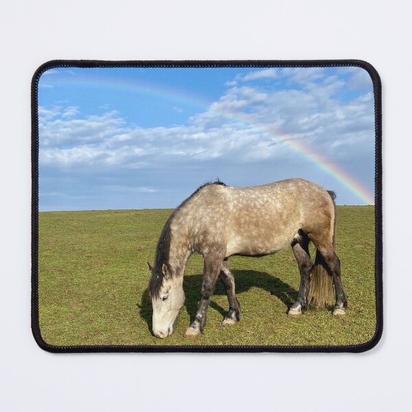 Item preview, Jackpot, the Horse at the End of the Rainbow designed and sold by HeartHerd.