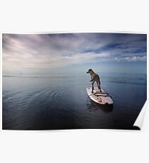 Owning the day Poster