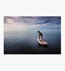 Owning the day Photographic Print