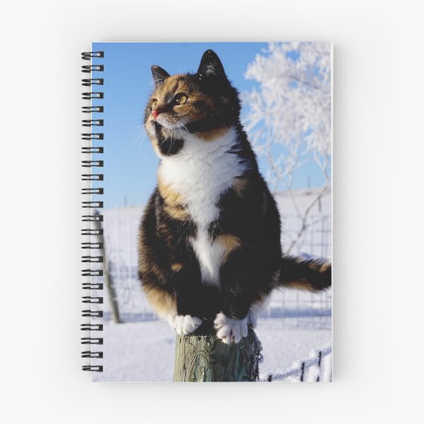 Item preview, Pretty Kitty in Winter  designed and sold by colorfulbundles.