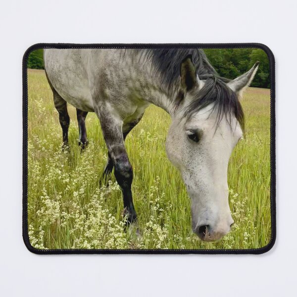 Item preview, Summer Grazing designed and sold by HeartHerd.