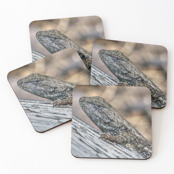 Item preview, Prairie Lizard designed and sold by Frankie Cat Photography.