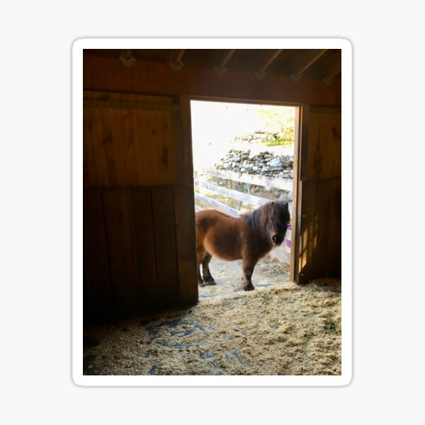 Aperçu de l'œuvre Cheval Bonjour créée et vendue par HeartHerd.