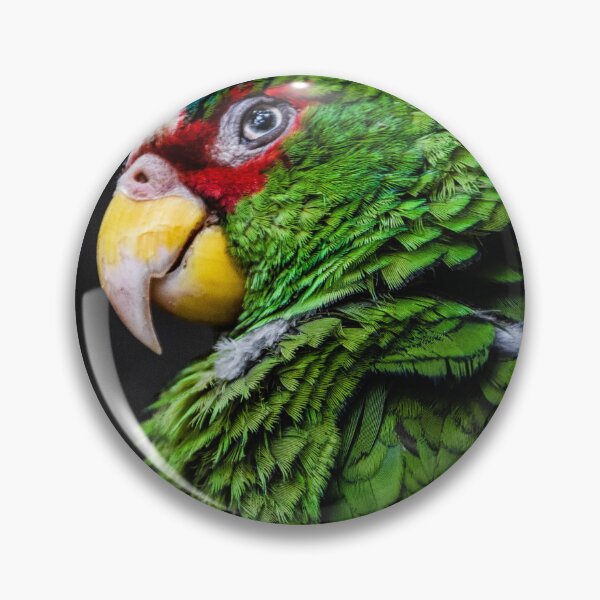 Item preview, Green Parrot Cute Funny Animal Macro Photography designed and sold by ehlphotography.