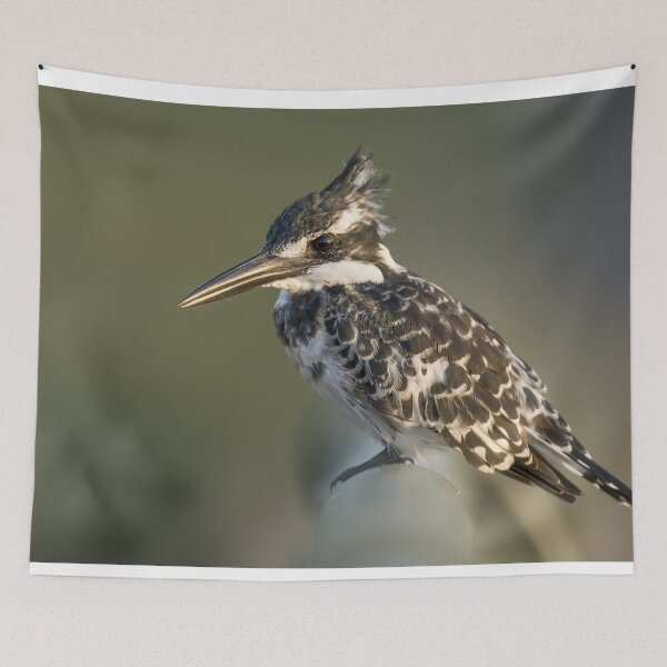 Item preview, Black and White Kingfisher Photo designed and sold by TheAnimalZ00.