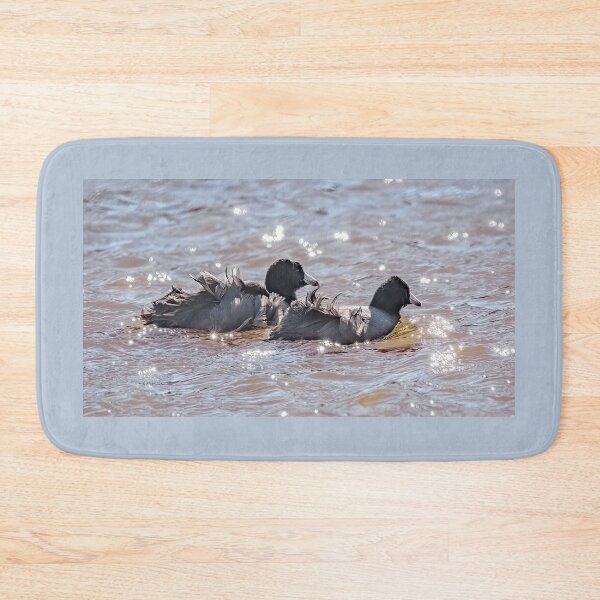 Item preview, Wind Ruffled Coot Feathers designed and sold by CarolM.