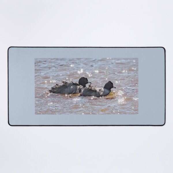 Item preview, Wind Ruffled Coot Feathers designed and sold by CarolM.