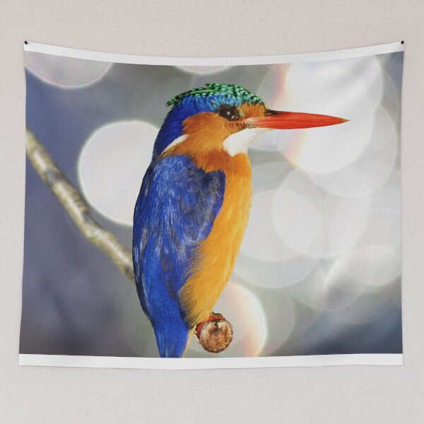 Item preview, Kingfisher Photograph designed and sold by TheAnimalZ00.
