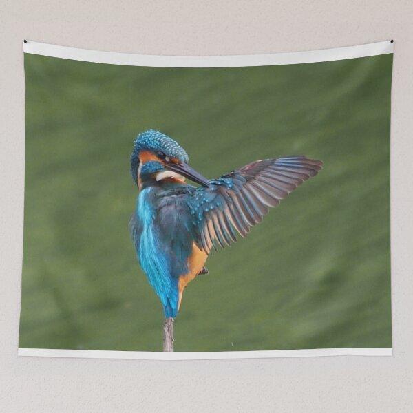 Item preview, Colorful Kingfisher Flying Photo designed and sold by TheAnimalZ00.