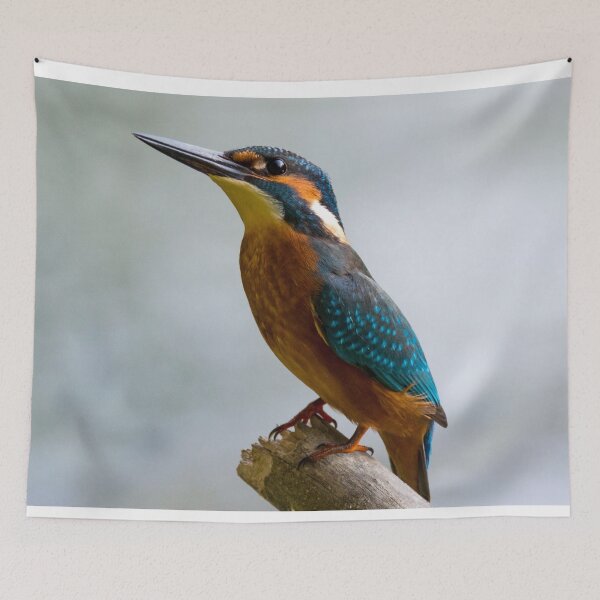 Item preview, Kingfisher designed and sold by TheAnimalZ00.