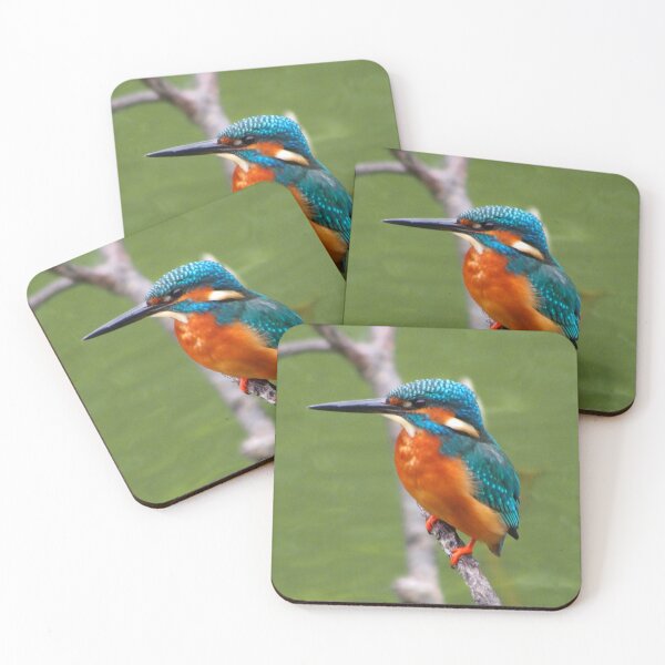 Item preview, Kingfisher Bird designed and sold by TheAnimalZ00.