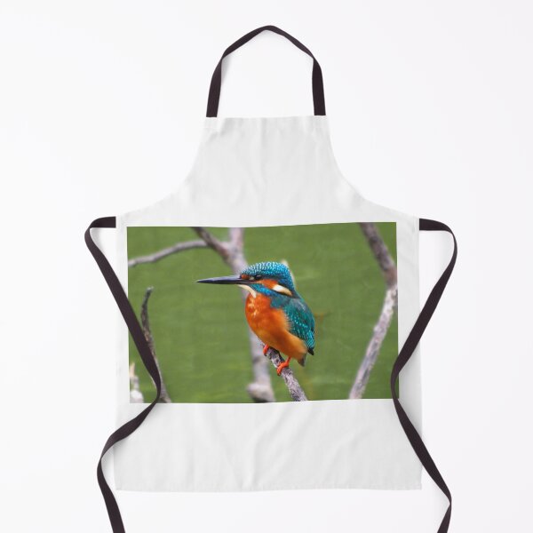 Item preview, Kingfisher Bird designed and sold by TheAnimalZ00.