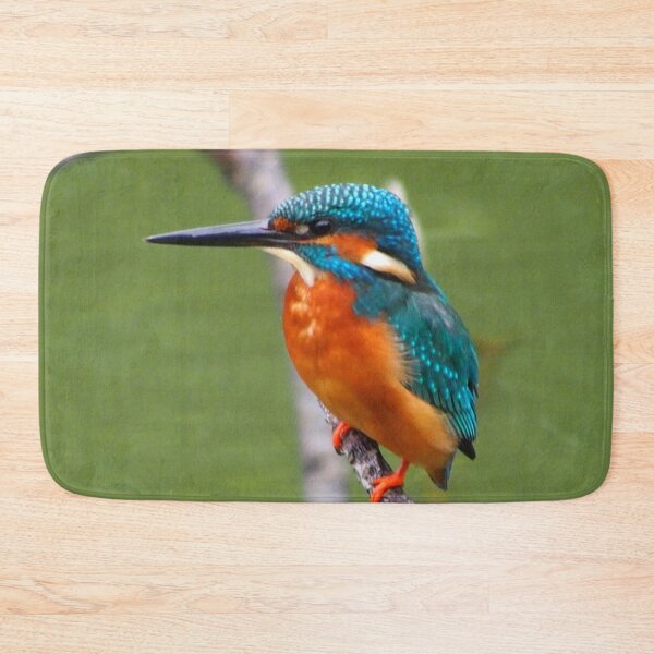 Item preview, Kingfisher Bird designed and sold by TheAnimalZ00.