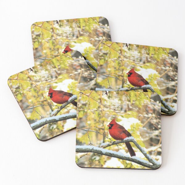 Item preview, Northern Red Cardinal In Winter designed and sold by TheAnimalZ00.