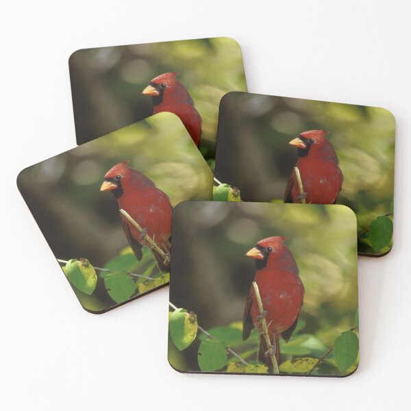 Item preview, Northern Cardinal Photo designed and sold by TheAnimalZ00.