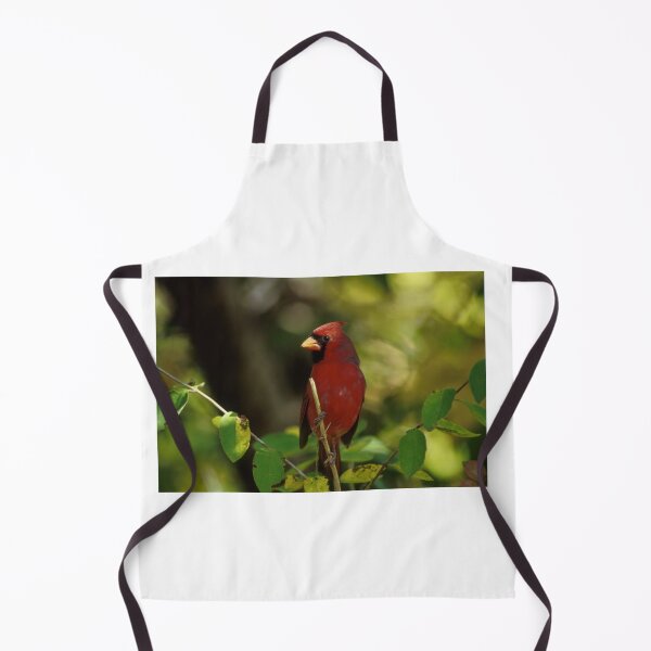 Item preview, Northern Cardinal Photo designed and sold by TheAnimalZ00.