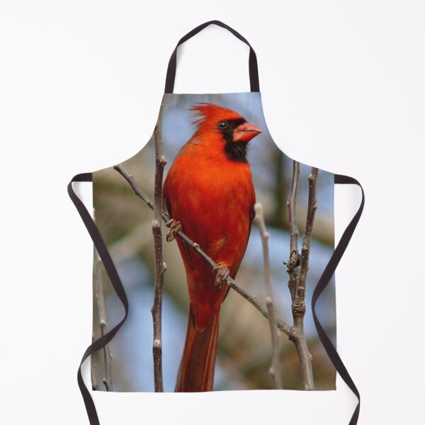 Item preview, Northern Cardinal Photo designed and sold by TheAnimalZ00.