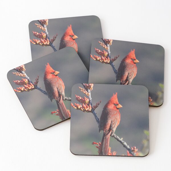 Item preview, Northern Cardinal in Nature Photo designed and sold by TheAnimalZ00.