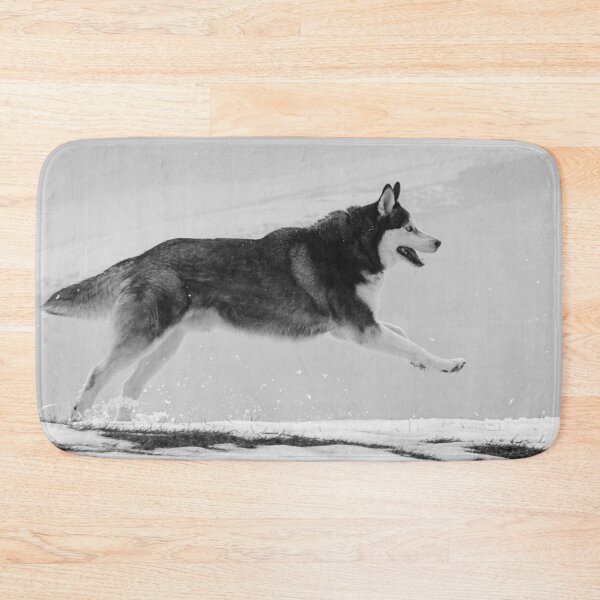 Item preview, Siberian Husky Chasing and Jumping in the freezing rain and snow designed and sold by myhuskymax.