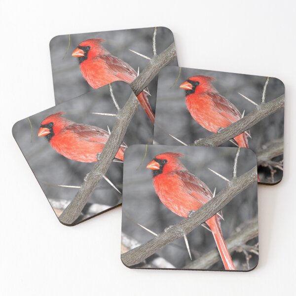 Item preview, Northern Cardinal designed and sold by TheAnimalZ00.