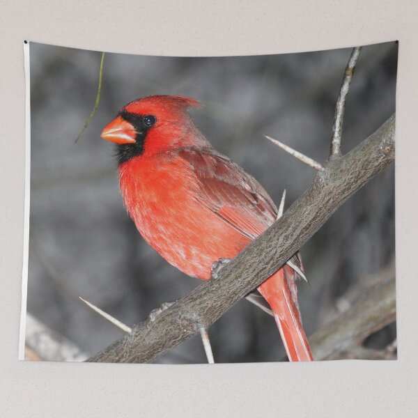 Item preview, Northern Cardinal designed and sold by TheAnimalZ00.