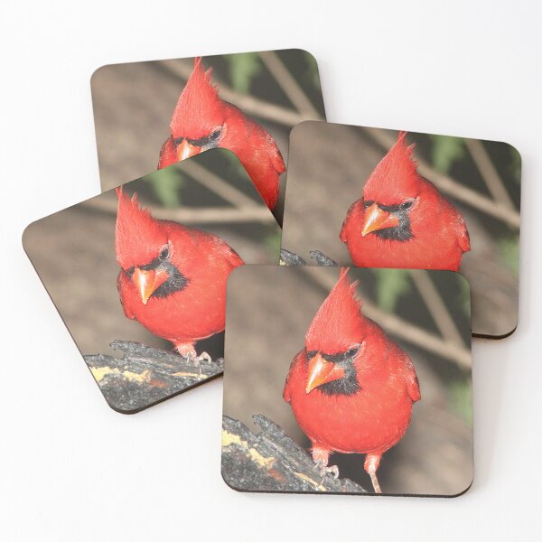 Item preview, Northern Cardinal designed and sold by TheAnimalZ00.