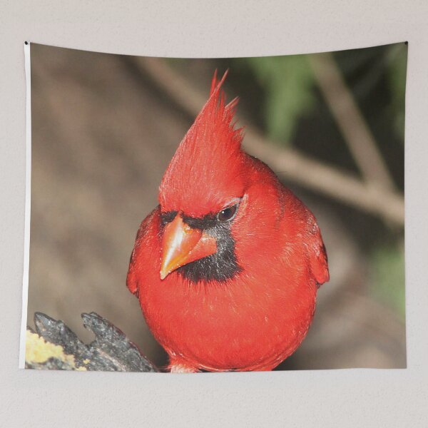 Item preview, Northern Cardinal designed and sold by TheAnimalZ00.