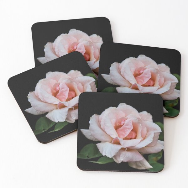 Item preview, Queen Elizabeth Rose  designed and sold by heatherfriedman.