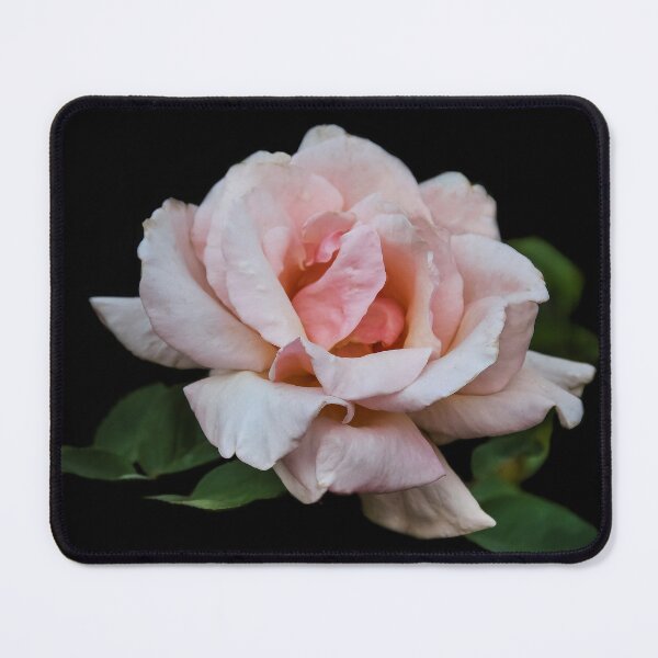 Item preview, Queen Elizabeth Rose designed and sold by heatherfriedman.