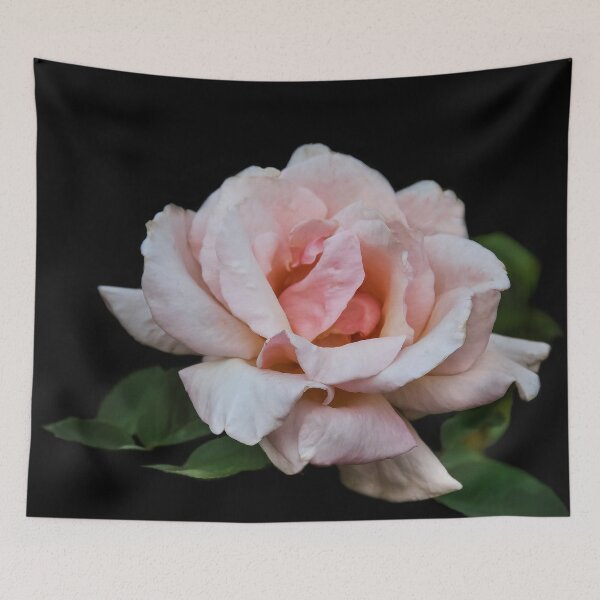 Item preview, Queen Elizabeth Rose  designed and sold by heatherfriedman.