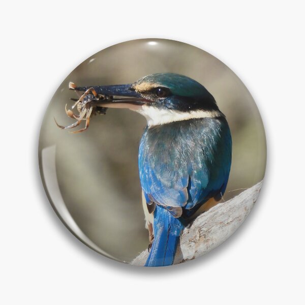 Artikelvorschau, Verängstigter Eisvogel. Frühstückszeit entworfen und verkauft von Mark Grimsley.