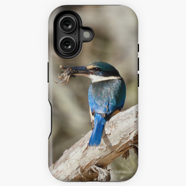 Item preview, Scared Kingfisher Breakfast time designed and sold by Mark Grimsley.