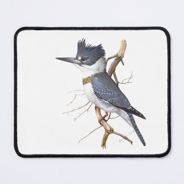 Item preview, Belted Kingfisher designed and sold by TheAnimalZ00.