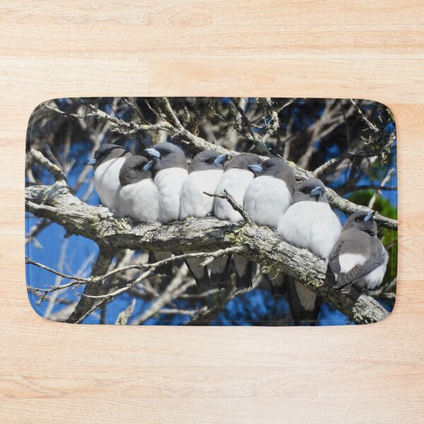 Item preview, White-Breasted Woodswollows friendly group photo designed and sold by Mark Grimsley.